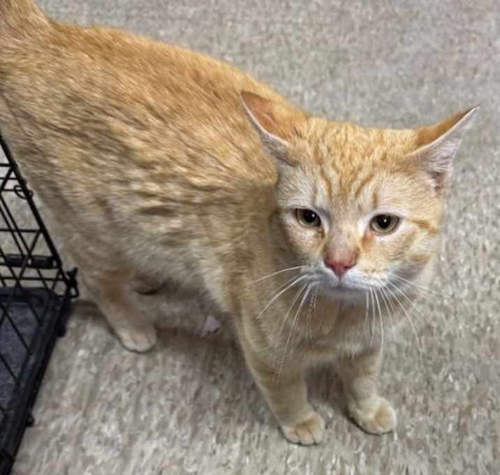 Photo of Buddy