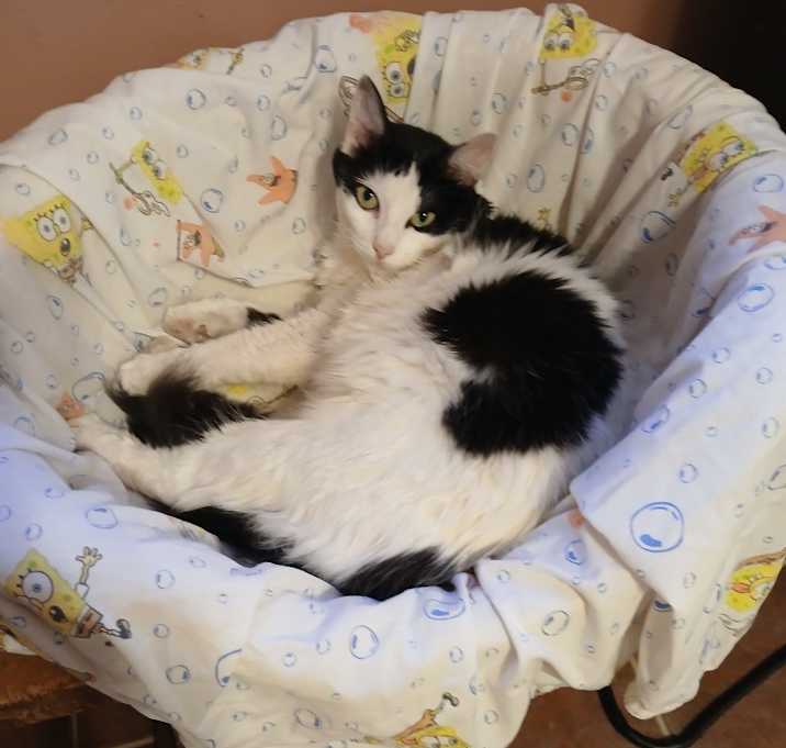 Photo of Mooie