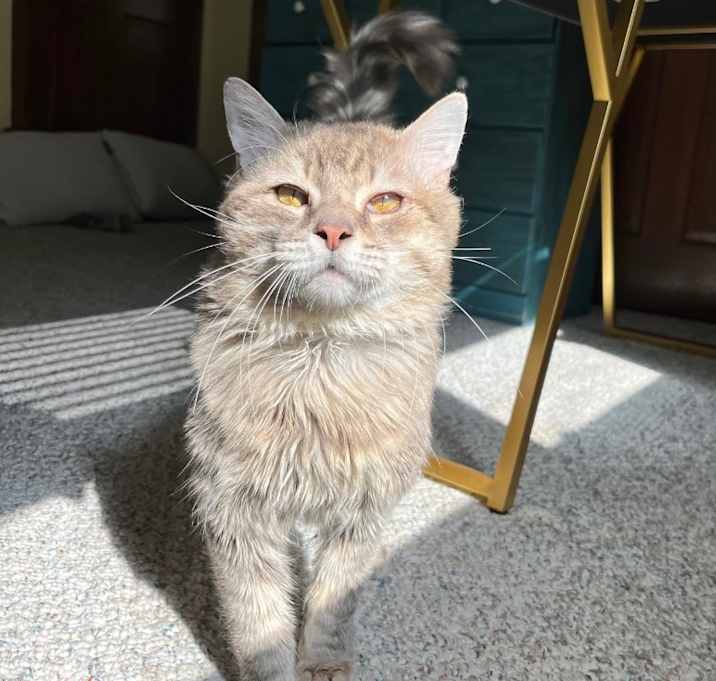 Photo of Yeti