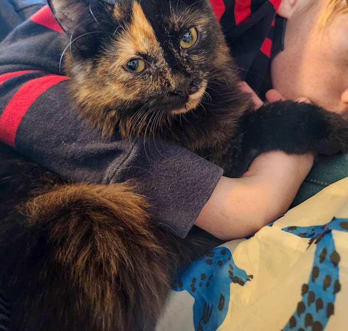 Photo of Ziva