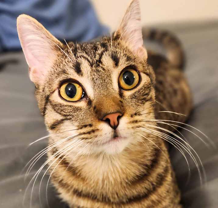 Photo of McGee