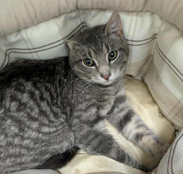 Photo of Big Buddy