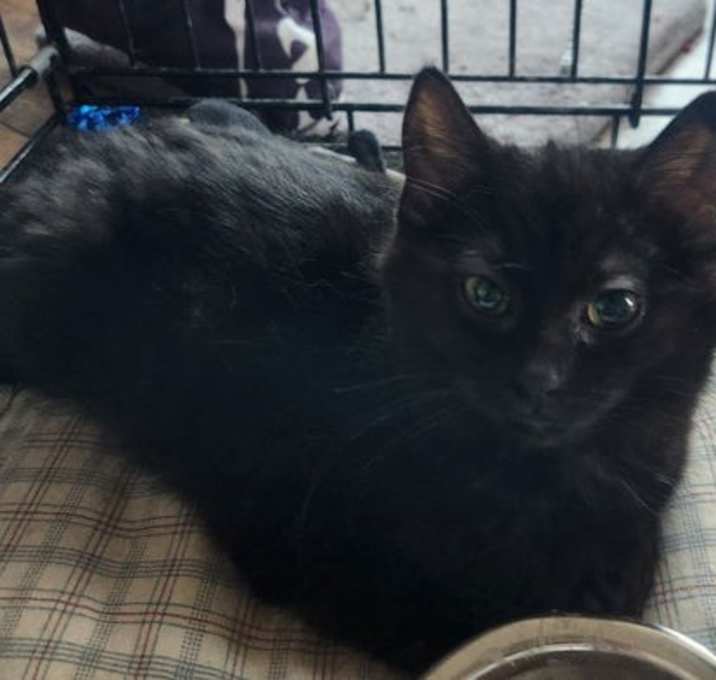 Photo of Nova