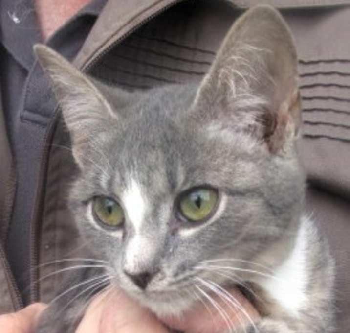 Photo of PJ