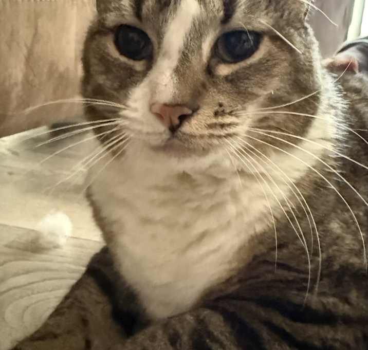 Photo of Kuzya