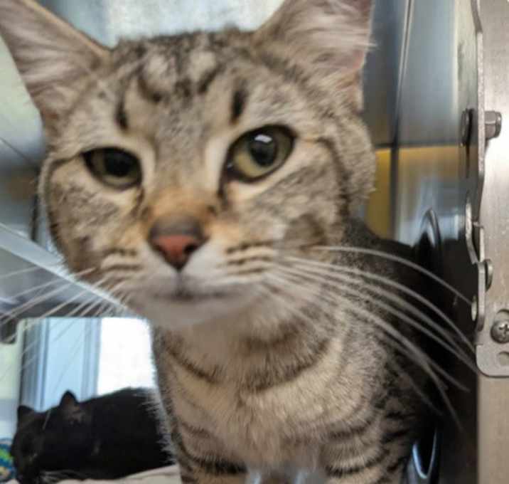 Photo of Miss Charlie