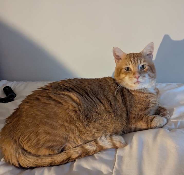 Photo of Buford