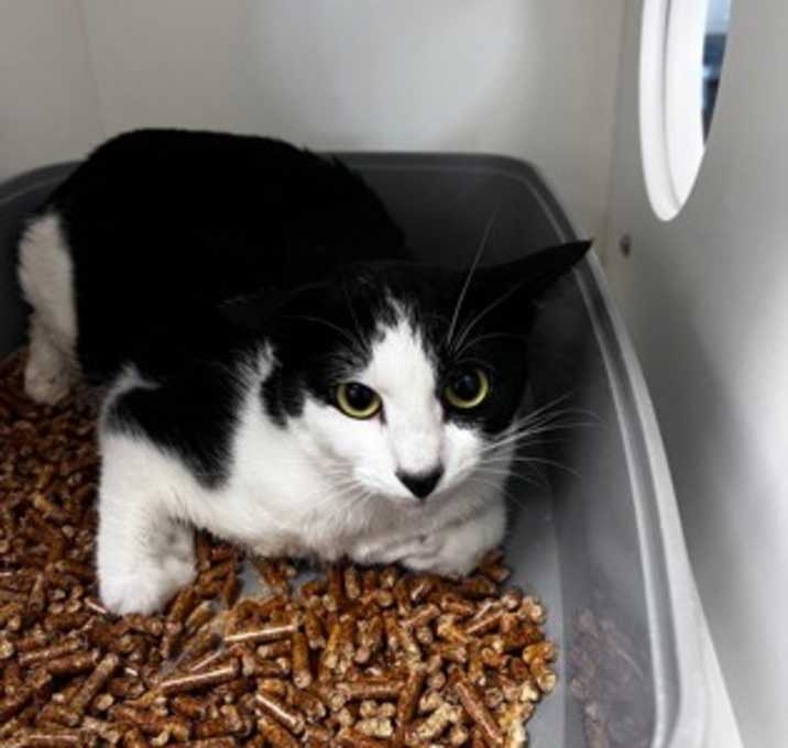 Photo of Gumbo