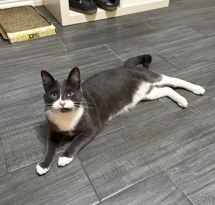 Photo of Mojo