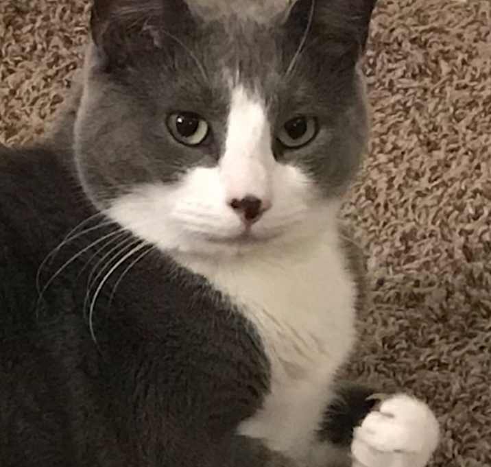 Photo of Vinny