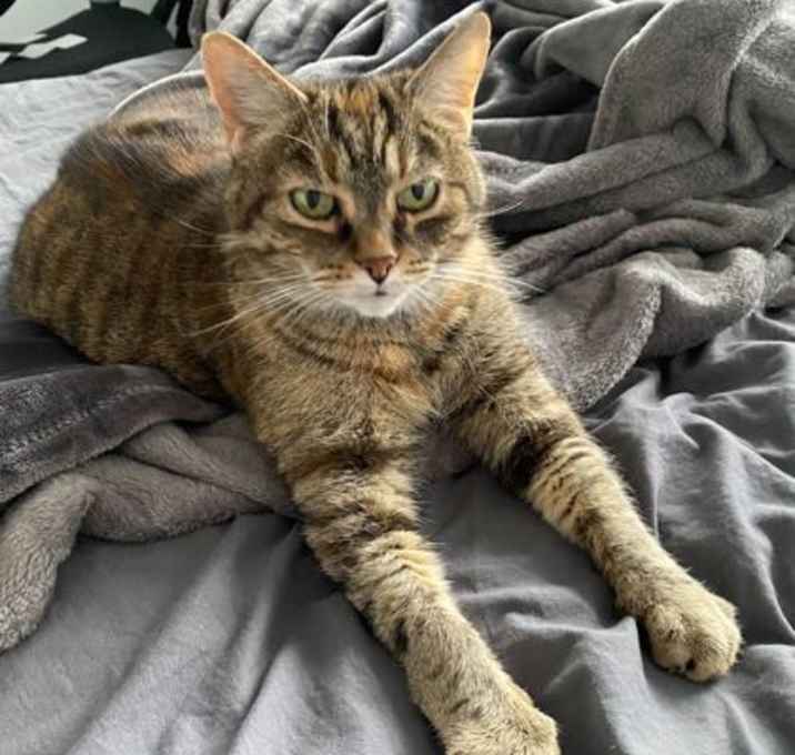 Photo of Cleo