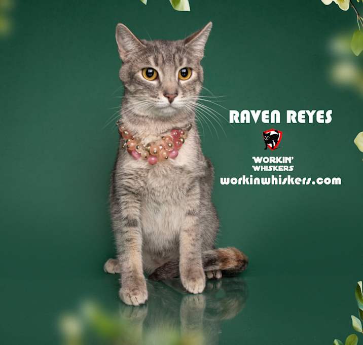 Photo of RAVEN REYES