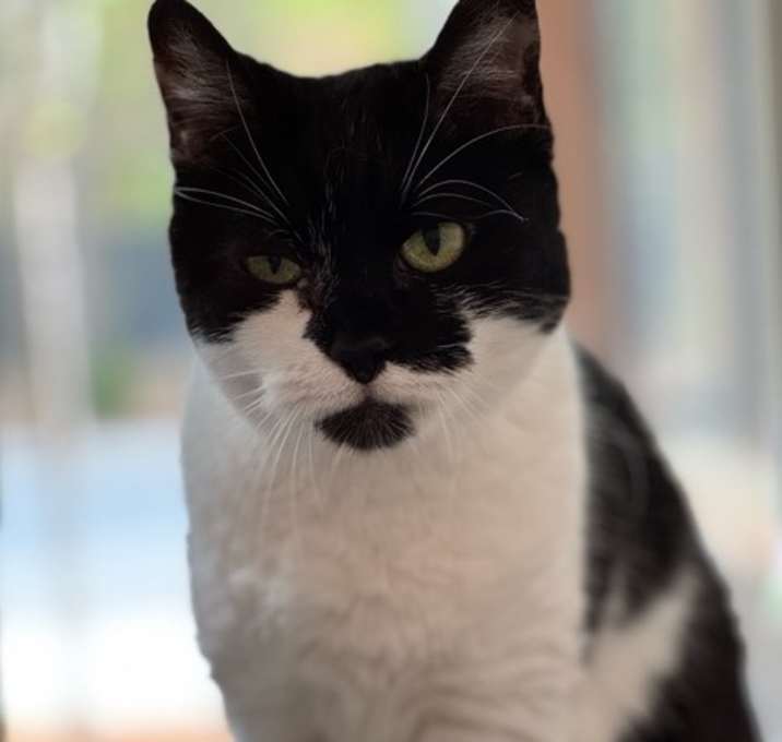 Photo of Michelle