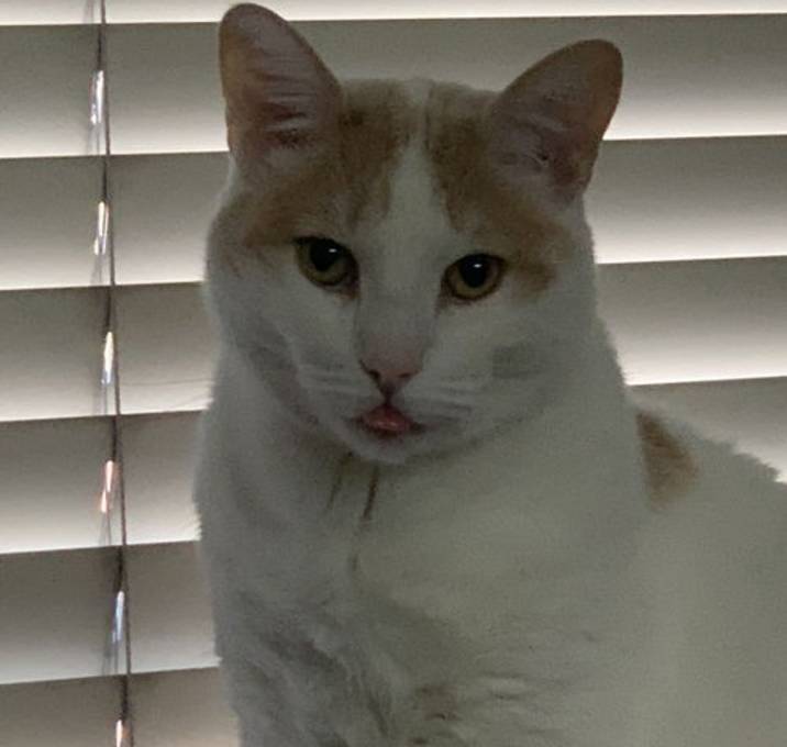 Photo of Haelee