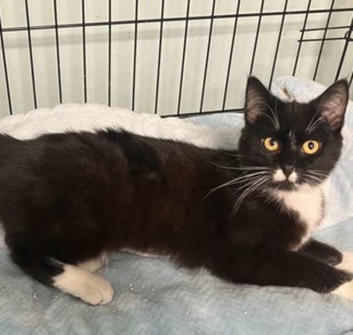 Photo of Cathy-now in foster care