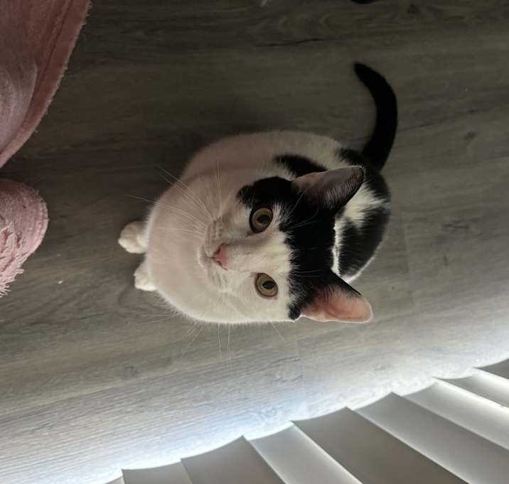Photo of Mister