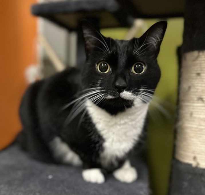 Photo of Luci
