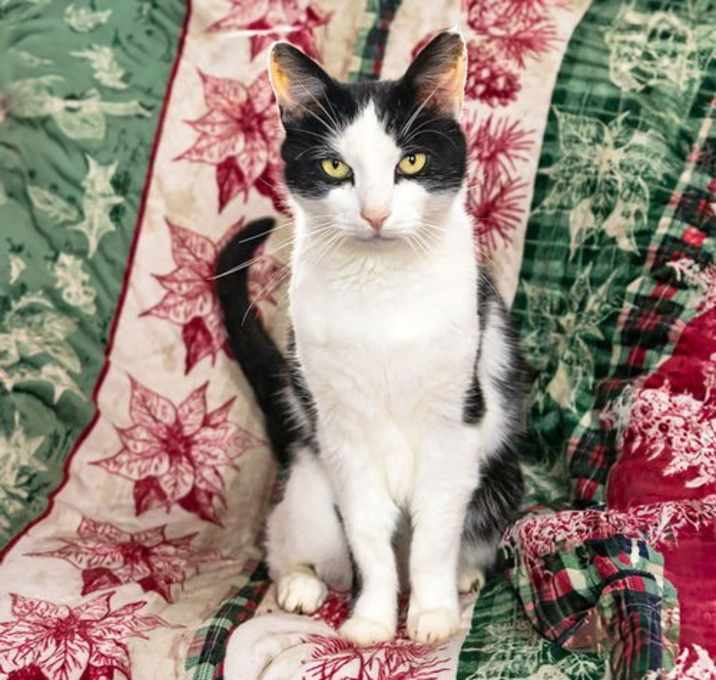 Photo of Simon