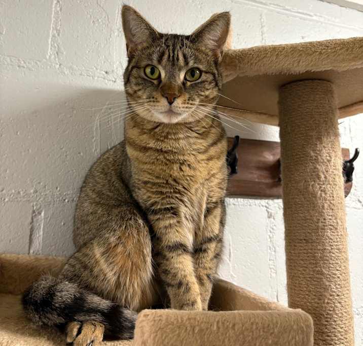 Photo of Monte