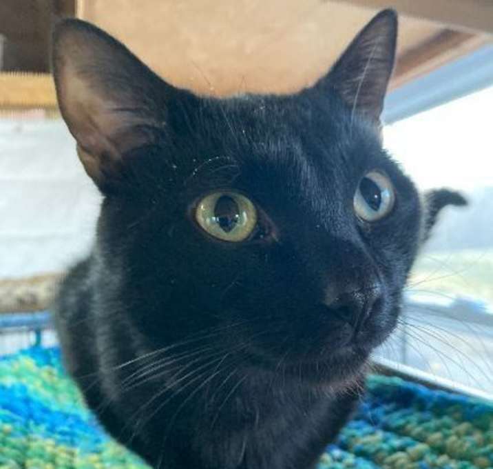 Photo of Jiji