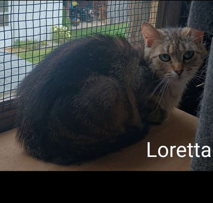 Photo of Loretta