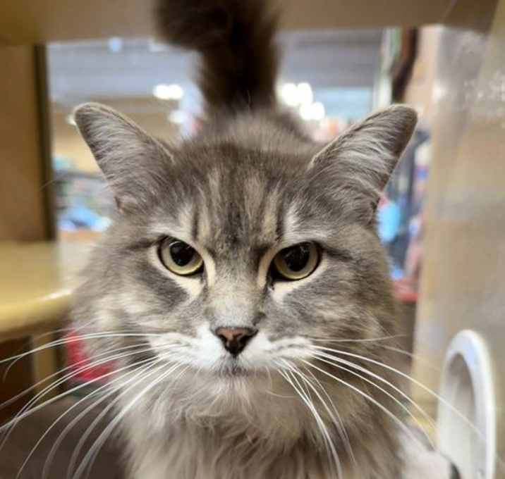 Photo of Jasper