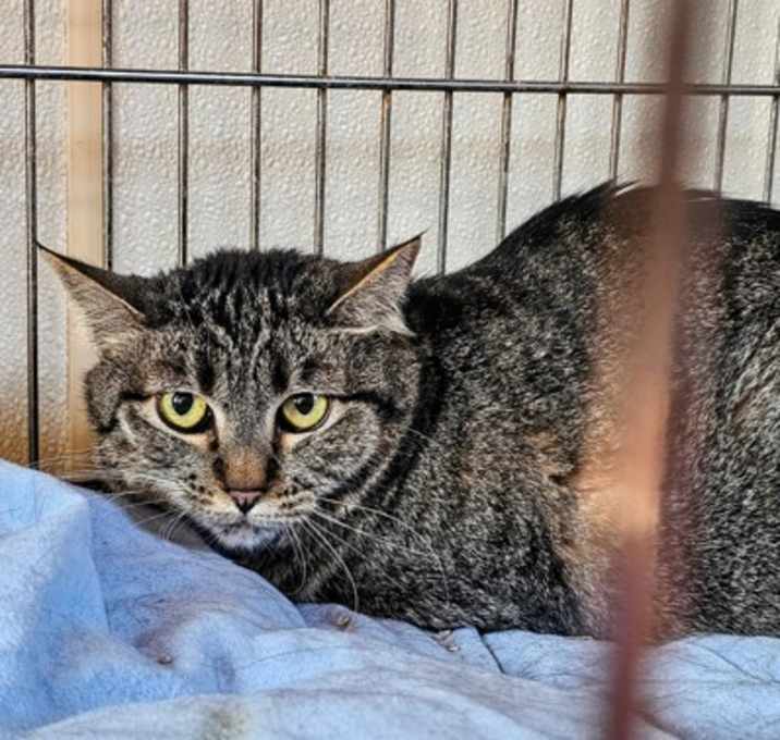 Photo of Bourbon