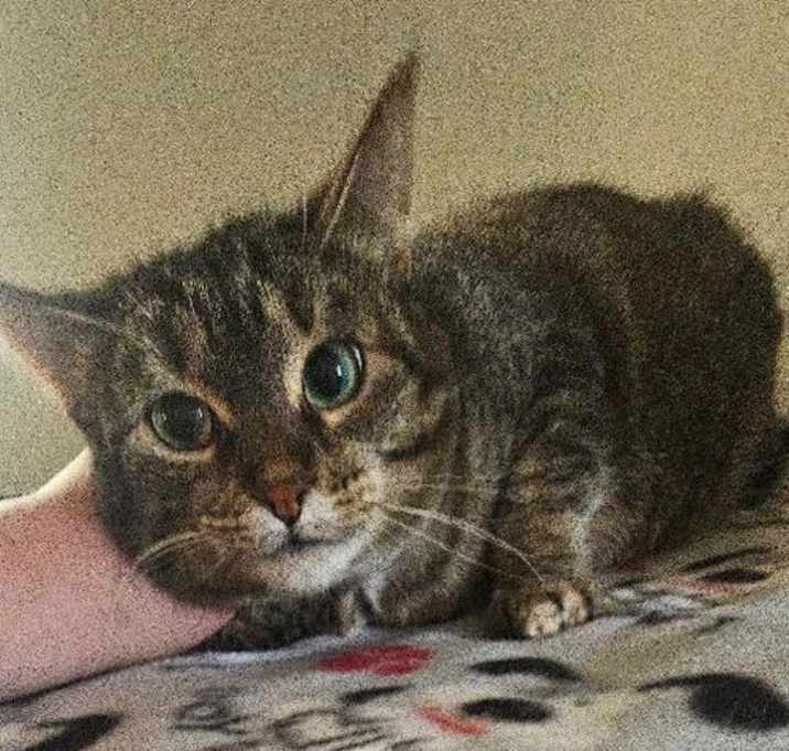 Photo of MAGGIE