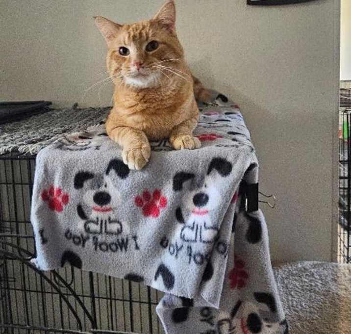 Photo of BRIAN