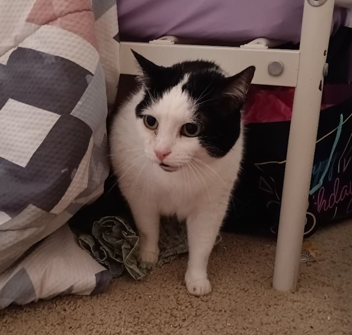Photo of Penelope 