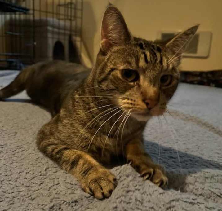 Photo of Slink