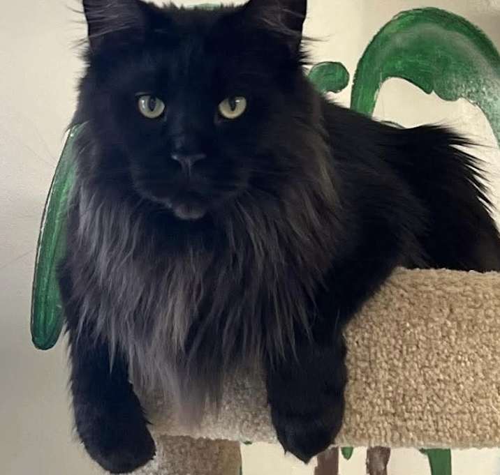 Photo of Bruce Wayne