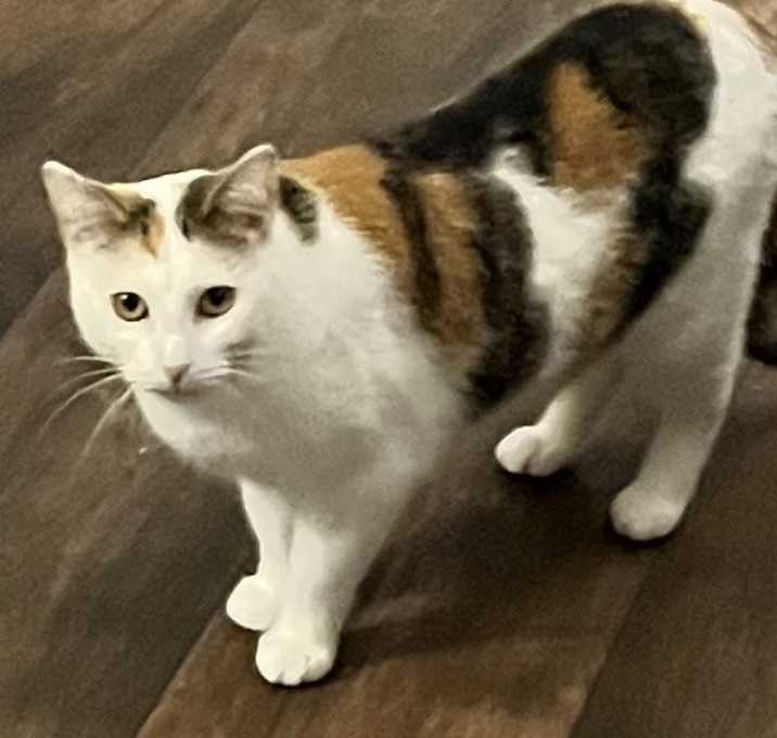 Photo of Lydia