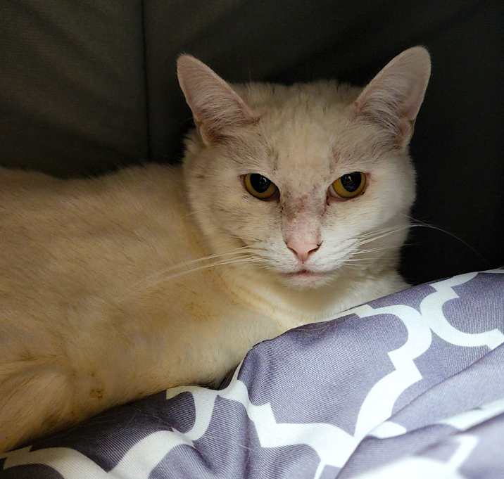 Photo of Skippy