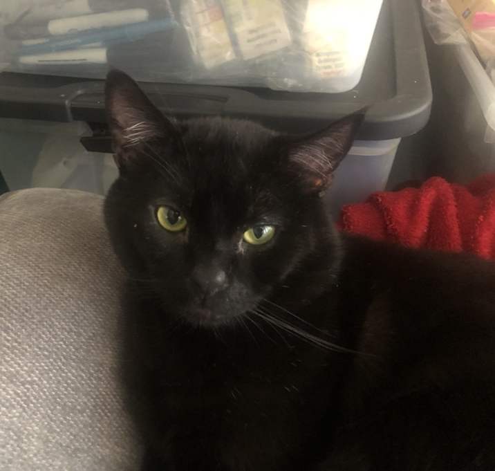 Photo of Jack