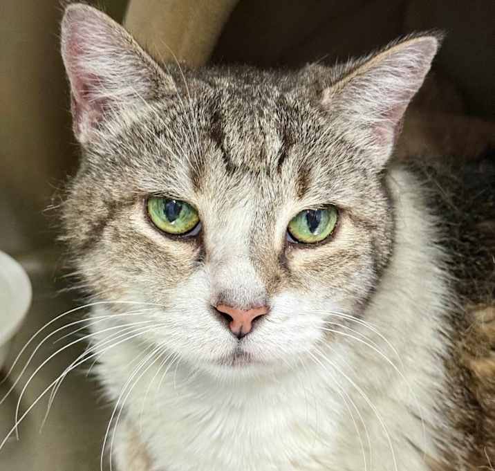 Photo of Martha
