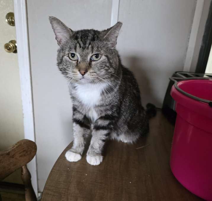 Photo of Ralphie