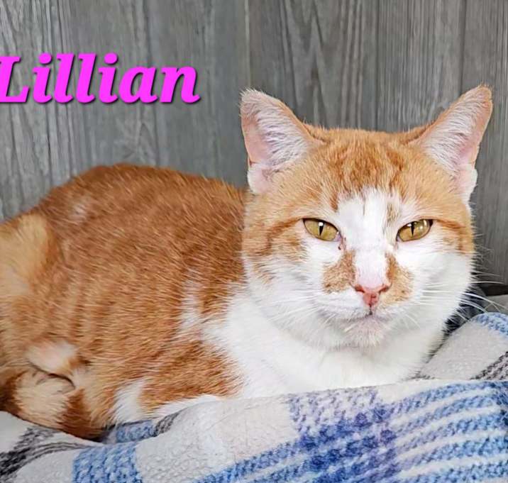Photo of Lillian