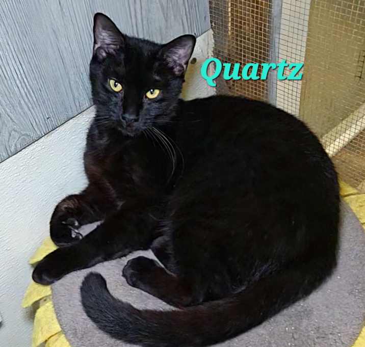 Photo of Quartz