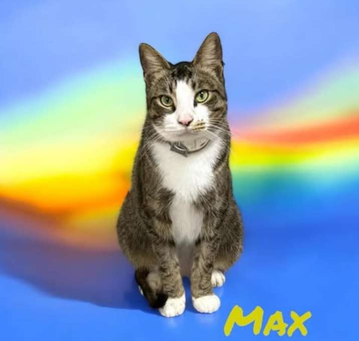 Photo of Max