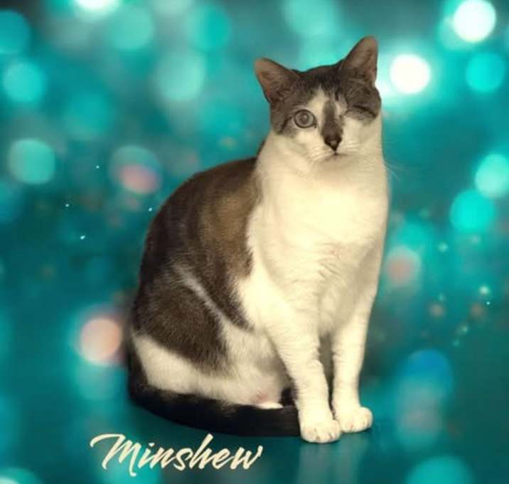 Photo of Minshew