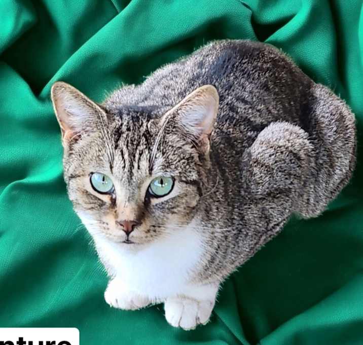 Photo of Venture