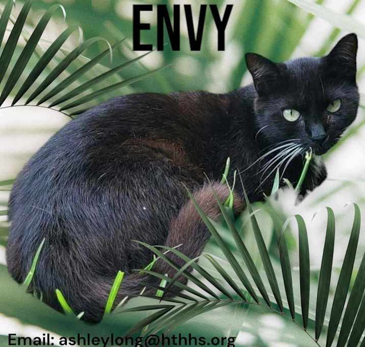 Photo of Envy