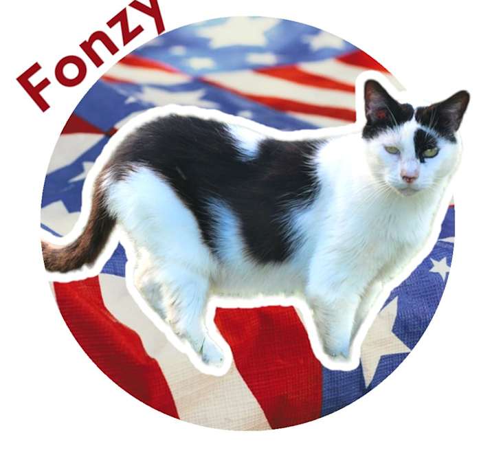 Photo of Fonzy