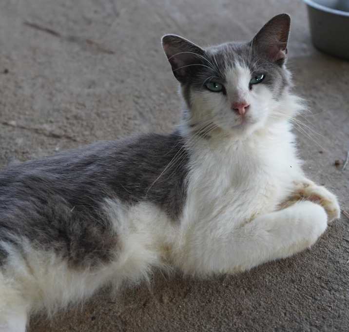 Photo of Franciou