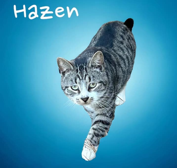Photo of Hazen