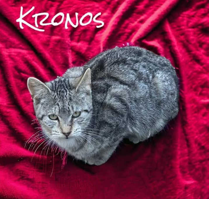 Photo of Kronos