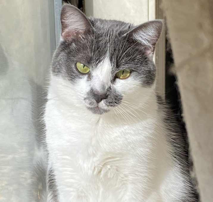 Photo of Skeeter