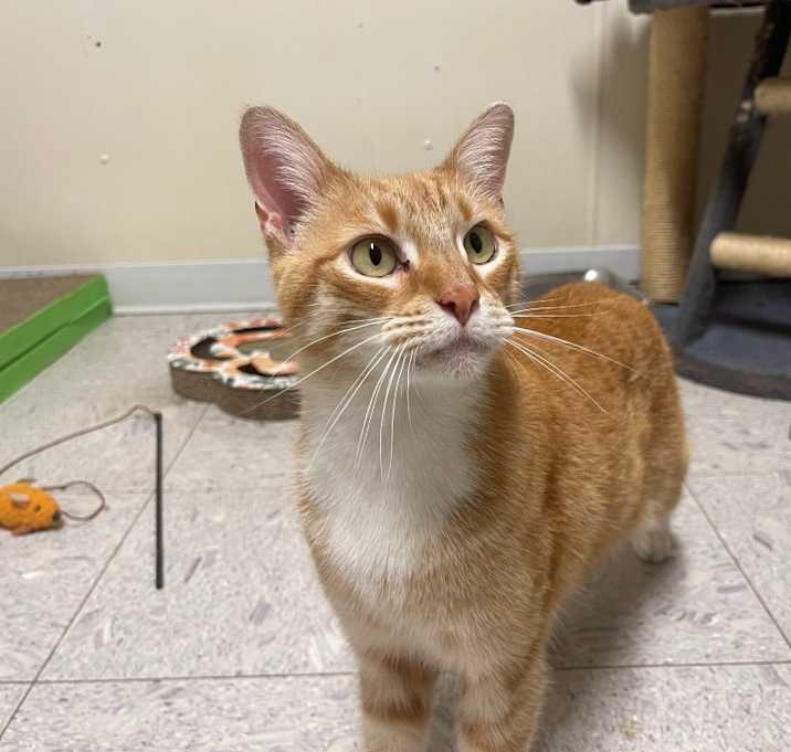 Photo of PUCK