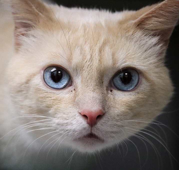 Photo of Bernard